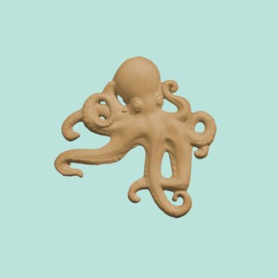 CC3 - Octopus