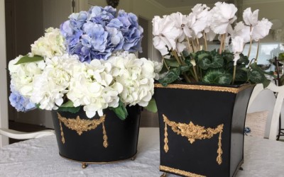 French Style In New Zealand… A treat for all