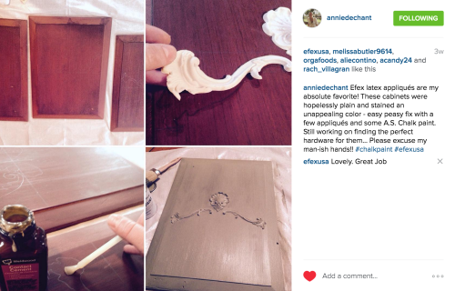 Annie De Chant Cabinet door