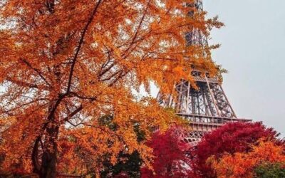 Paris In The Fall