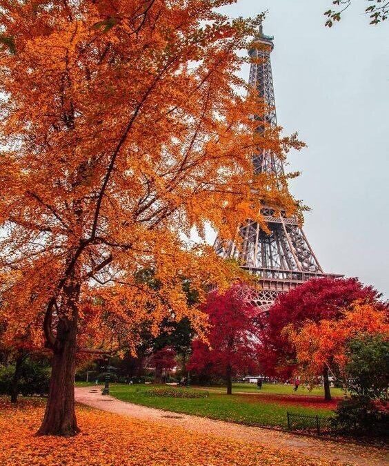 Eifell tower in the fall